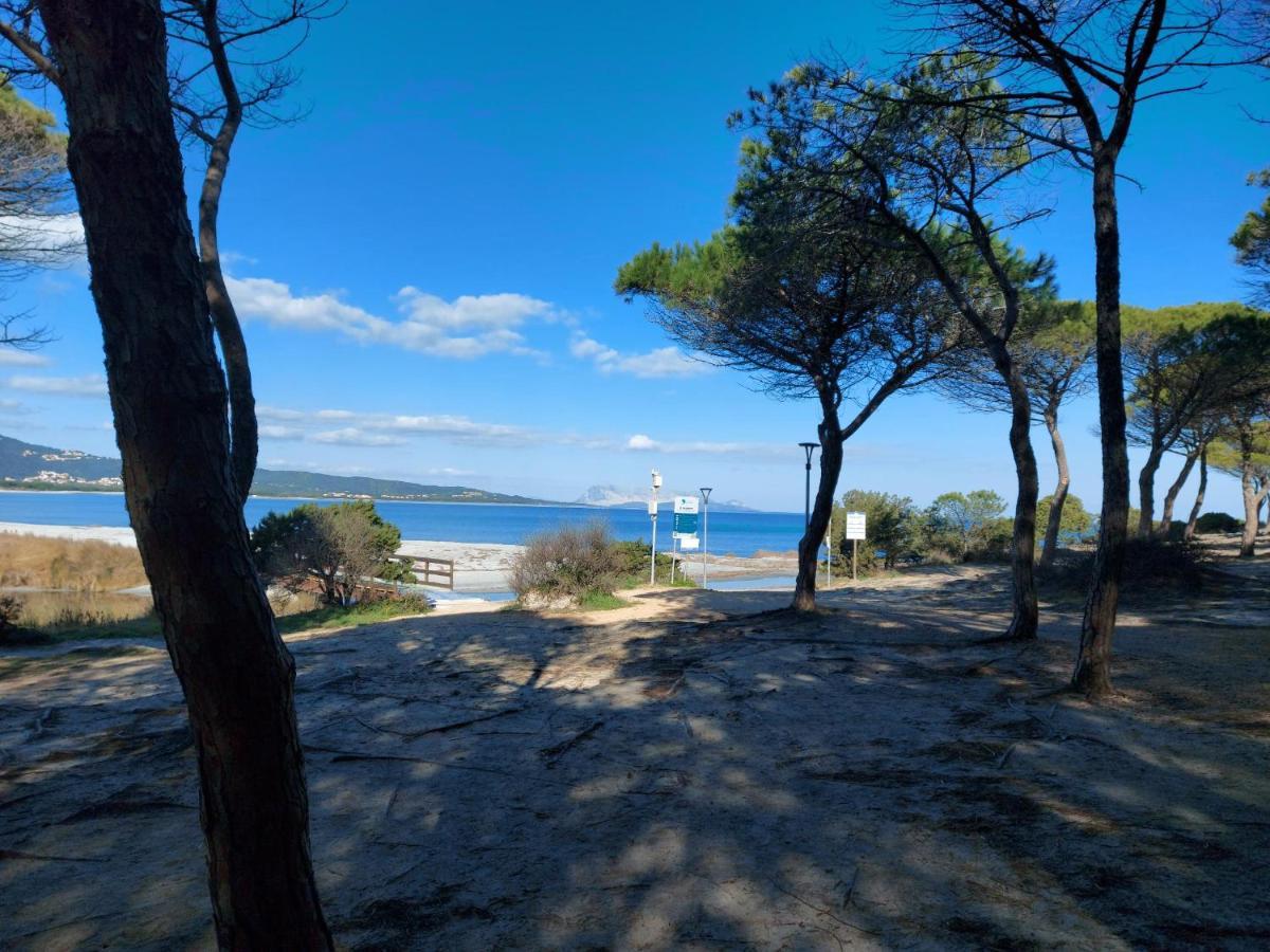 Villetta Gallura 13 Budoni Εξωτερικό φωτογραφία